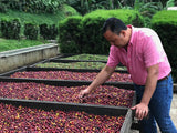 Nicaragua Finca Las Morenitas Natural Micro-lot Rainforest Alliance Whole Coffee Beans