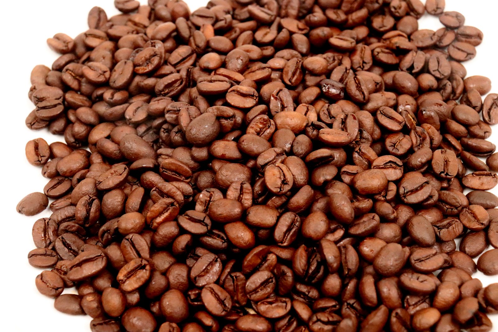 Nicaragua Finca Las Morenitas Natural Micro-lot Rainforest Alliance Whole Coffee Beans