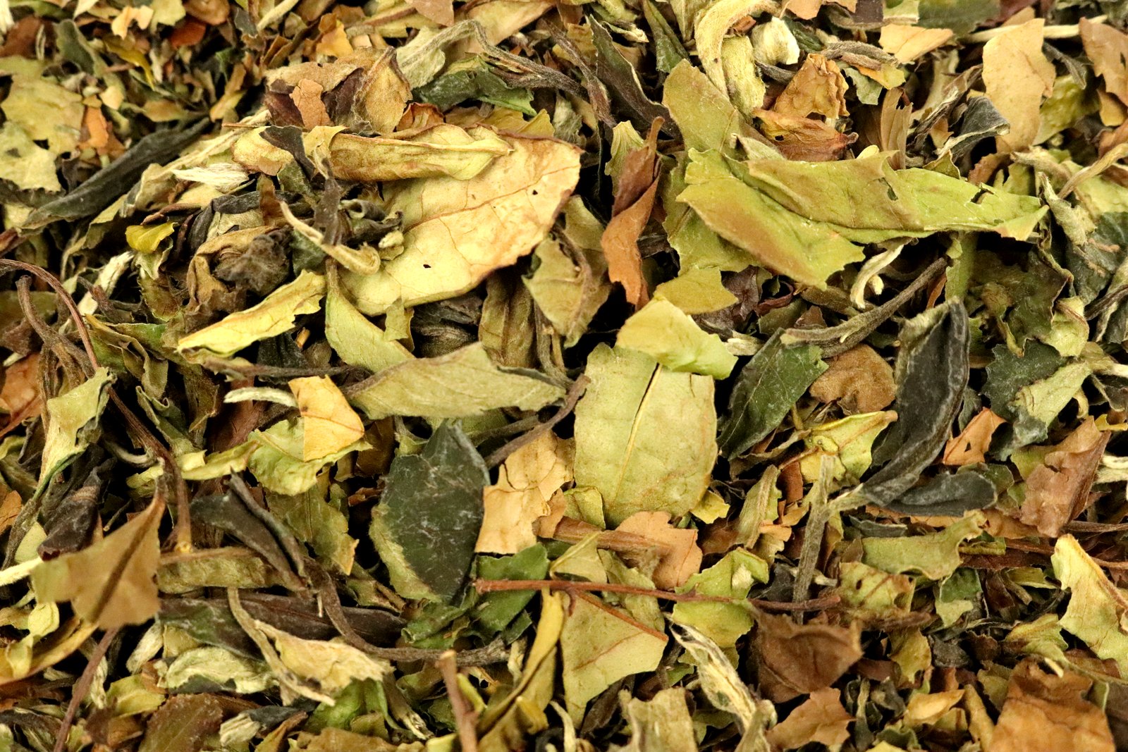 Pai Mu Tan White Peony 6902 Cafe Grade Loose Leaf White Tea Gently Stirred