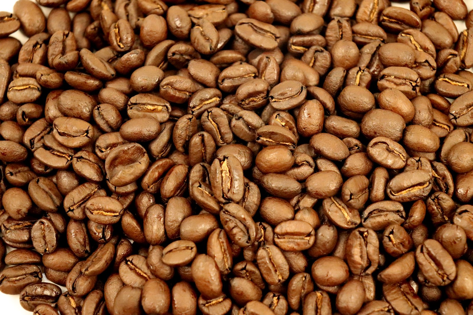 Peruvian El Gallito Fair Trade Dark Roast Whole Coffee Bean 1-2-1 Micro-lot