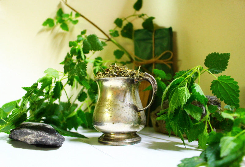 Stinging Nettle Tea Gently Stirred