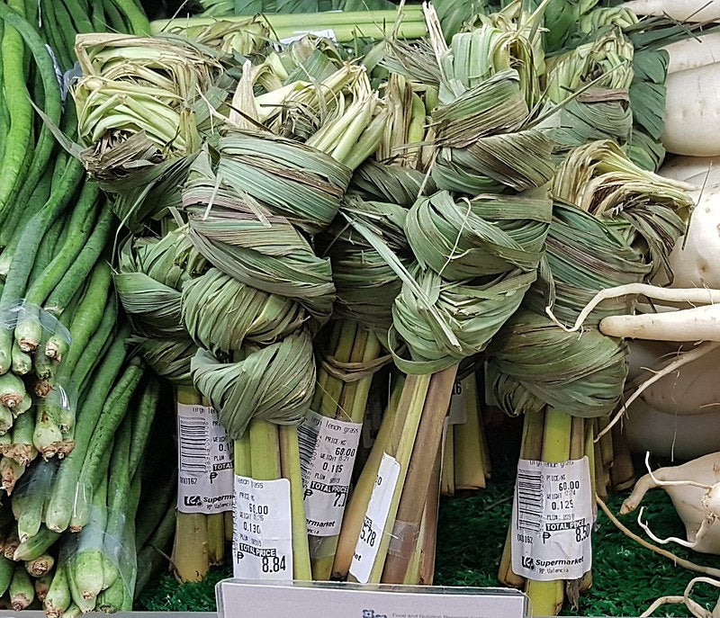 Thailand Lemongrass Pure Healthy Infusion Drink Tea Anxiety Boosting Immune