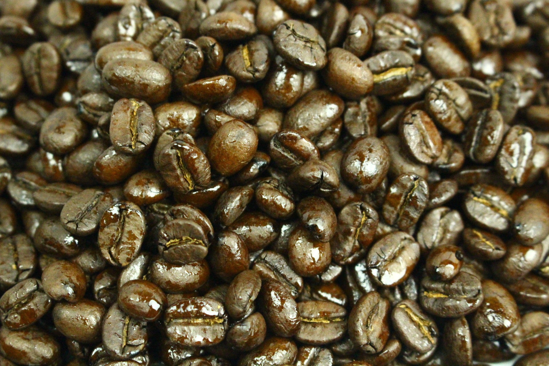 Thailand Doi Chaang Organic Fair Trade Coffee 1