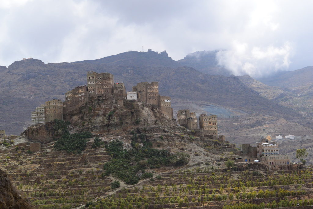 Yemen Mocha Matari Whole Coffee Beans Medium Roast Extremely Rare Good Depth